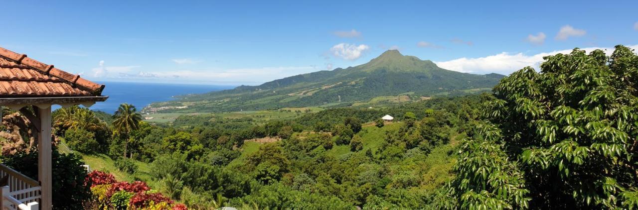 הוילה Fond-Saint-Denis Le Hameau Du Morne Des Cadets מראה חיצוני תמונה